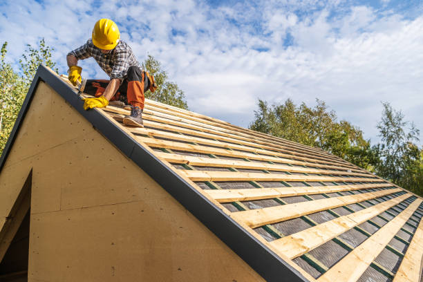 Best Roof Replacement Cost  in Badger, AK
