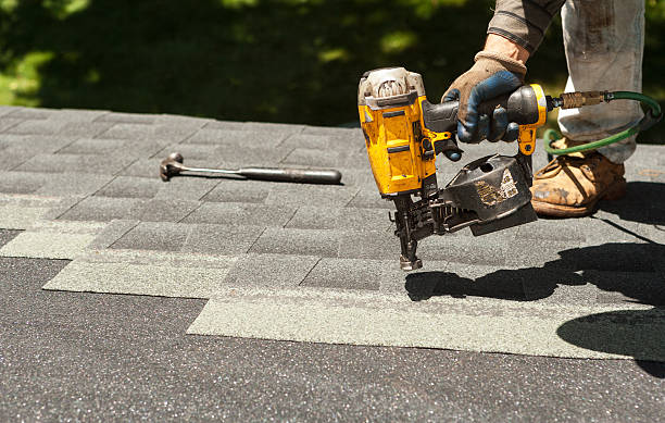 Best Roof Gutter Cleaning  in Badger, AK