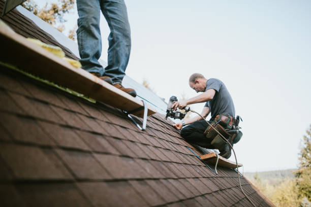 Best Storm Damage Roof Repair  in Badger, AK