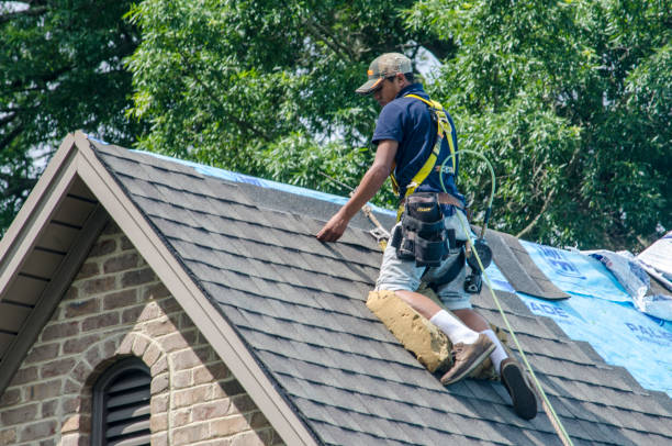 Best Gutter Installation and Roofing  in Badger, AK
